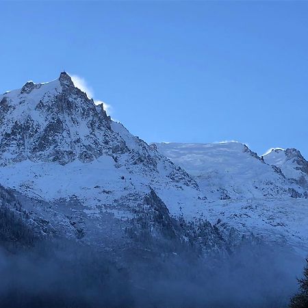 Les Alpins - Centre De Chamonix - Renove Avec Jardin Et Vue Imprenable Sur Le Montblanc Apartman Kültér fotó